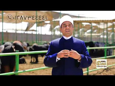 طرق الشراء والدفع