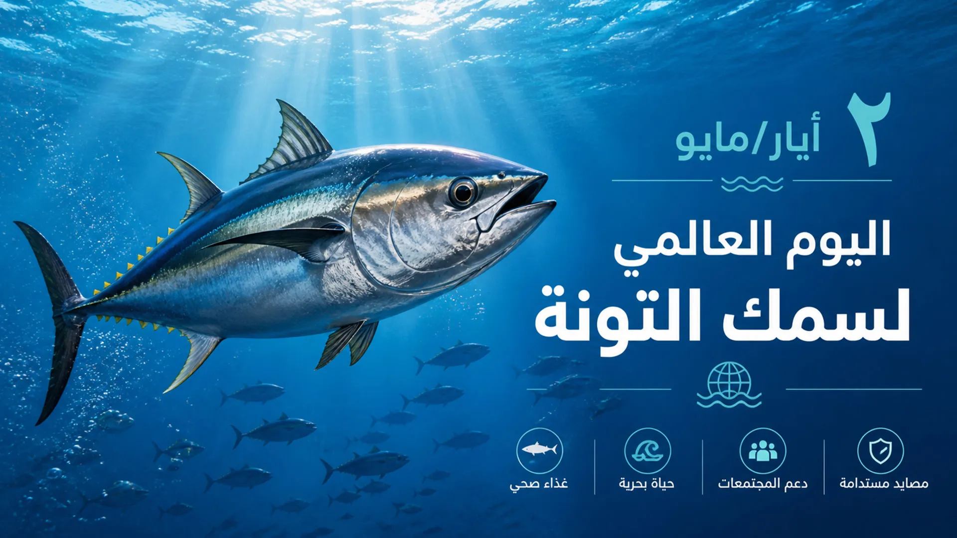 ٢ مايو اليوم العالمي لسمك التونة