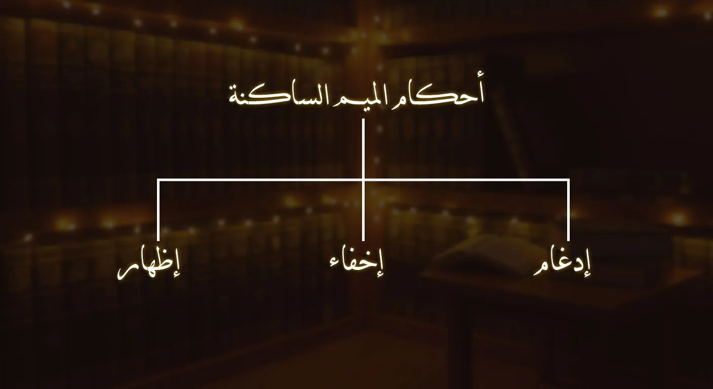 الميم الساكنة وأحكامها