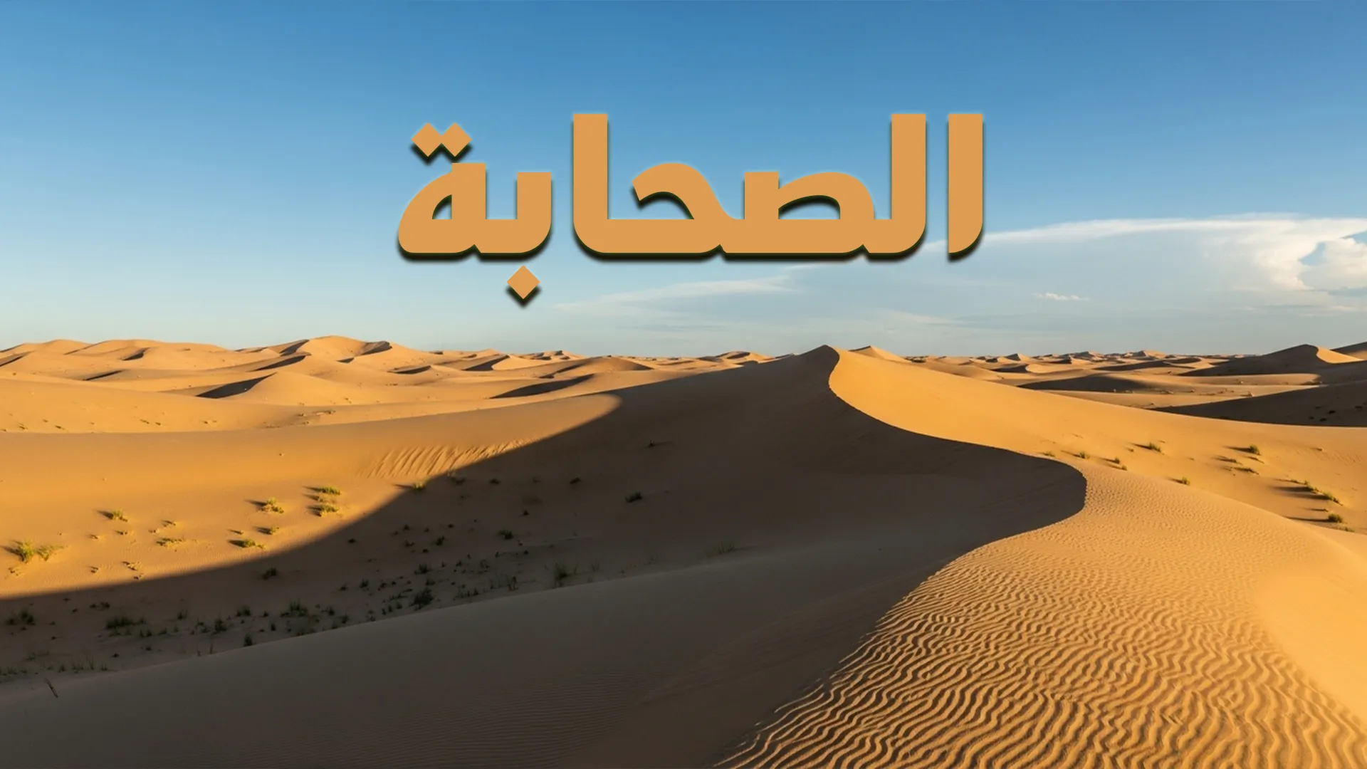 الصحابة
