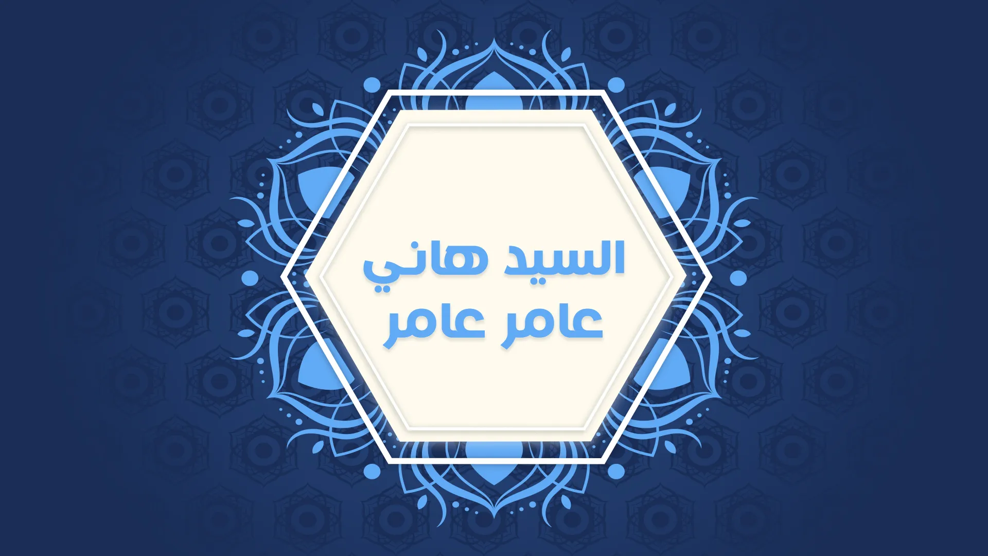 السيد/ هاني عامر عامر