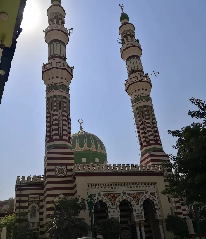 مسجد ناصر بأسيوط