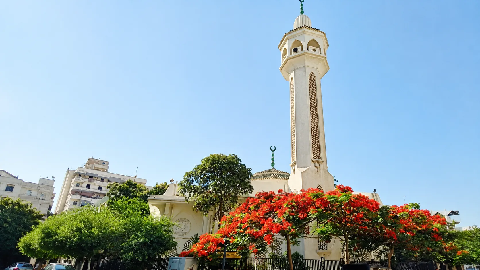 مسجد التوكيلات الملاحية ببورسعيد